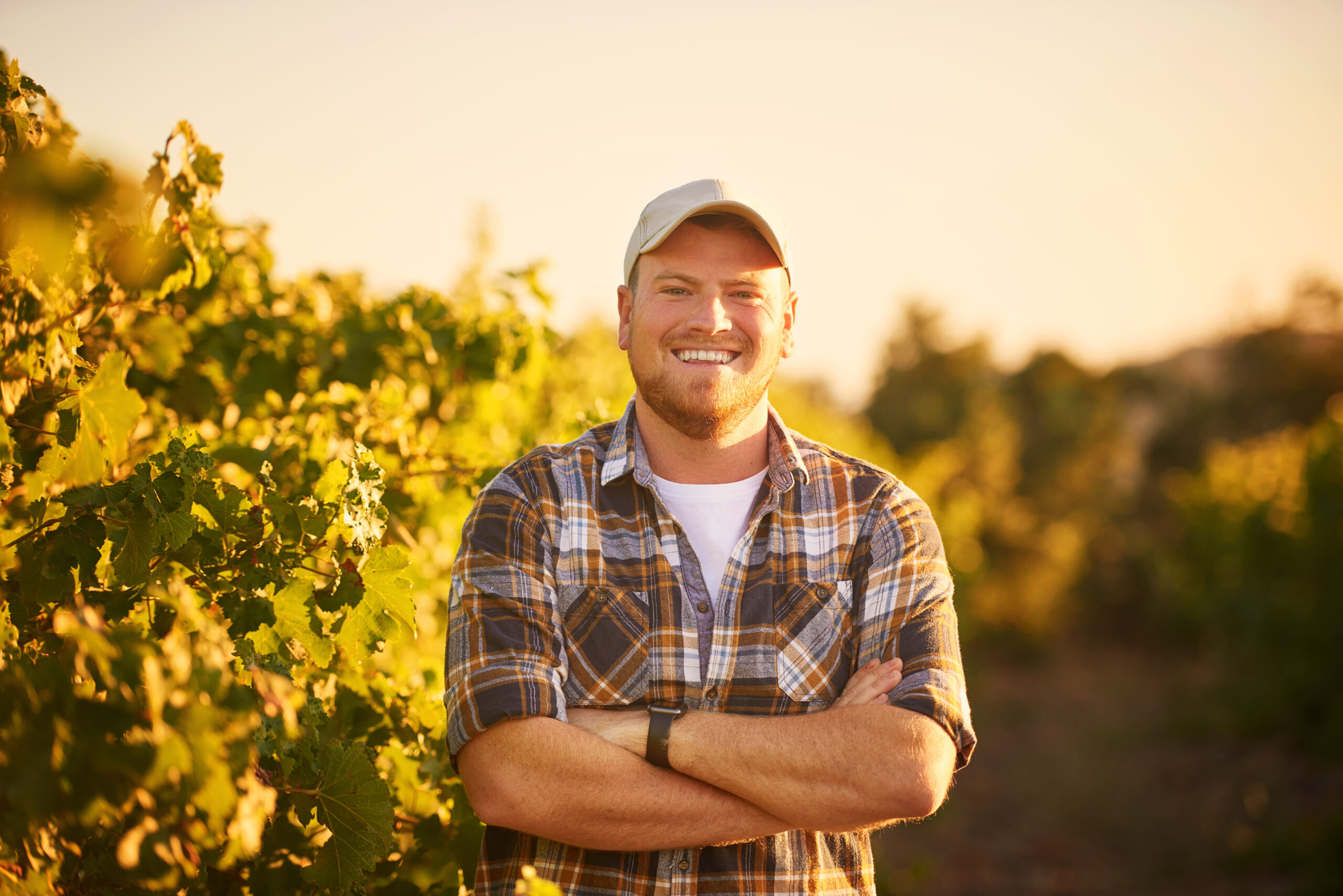 Portrait of a happy farmer posing with his arms crossed in a vineyard